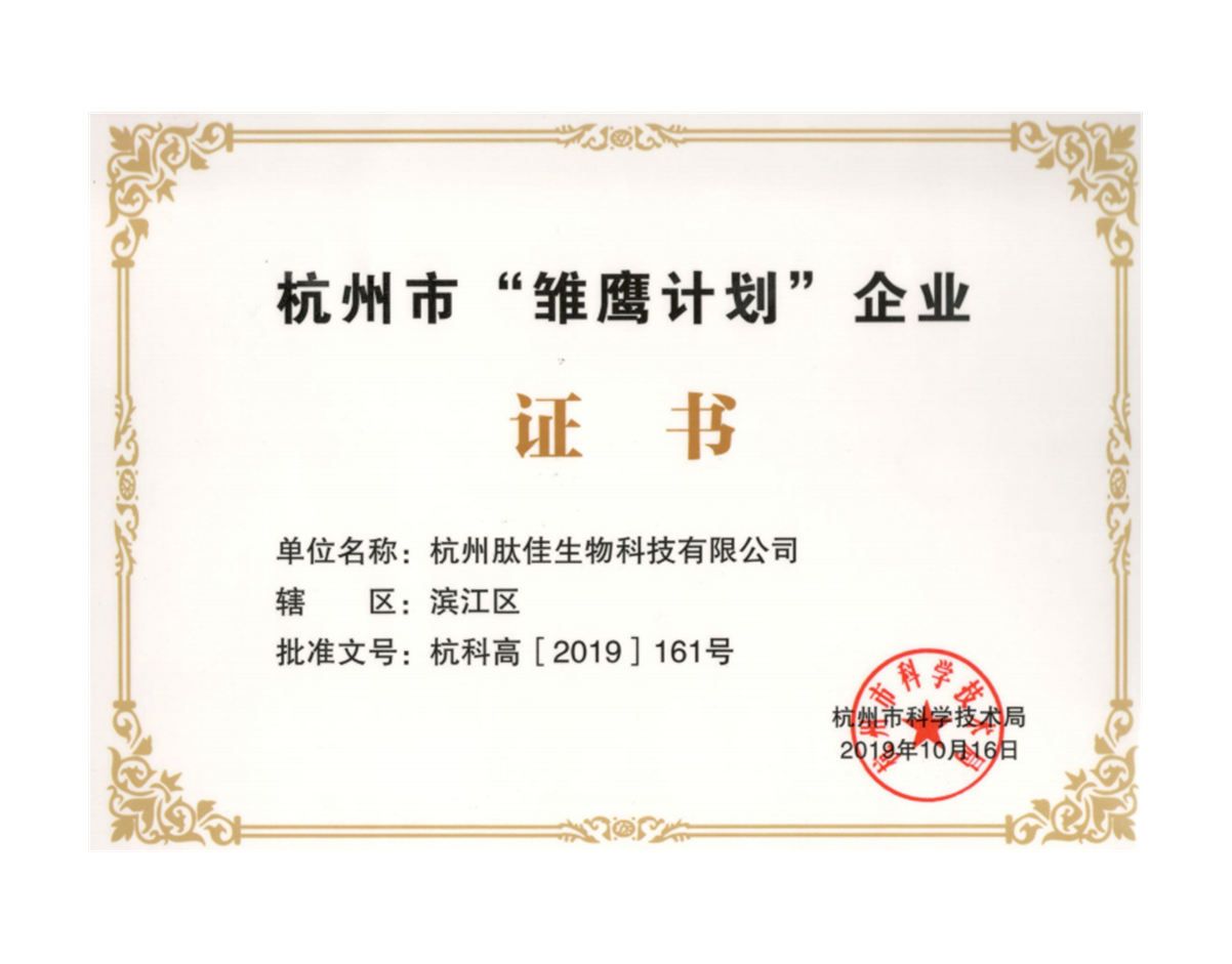 雏鹰妄想企业证书